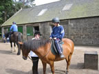 cottage fife horse riding